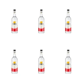 1773274641011-10133-2-x6-xwuq2f.png