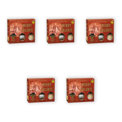 1773274654129-10152-2-x5-g529dr.png
