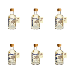 1773274669855-10176-2-x6-gdz8ss.png