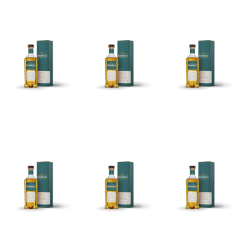 1773274986375-10645-2-x6-tue2s.png