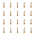 1773275070722-10765-2-x20-7nj7p.png