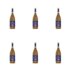 1773275078116-10771-2-x6-ivdtt.png