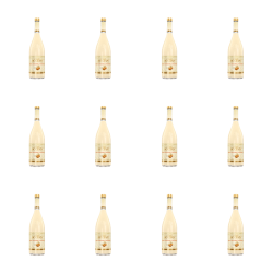 1773275078558-10772-2-x12-6jwoeu.png
