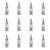 1773275124358-10831-2-x12-jt7x4h.png