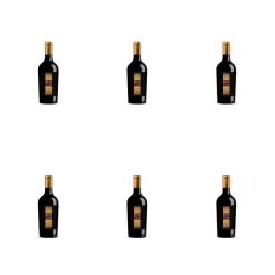 1773275438581-11311-2-x6-dah1ul.png