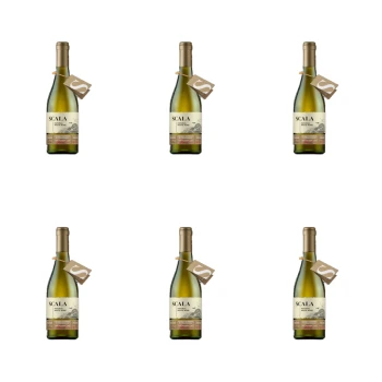 1773275609679-11547-2-x6-bnh15d.png