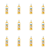 1773276098554-12226-2-x12-xxth1r.png