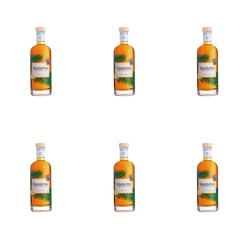 image-editor%2Fmultipack%2F1777031111849-r721-c1-x6.png