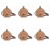 image-editor%2Fmultipack%2F1777031123872-r730-c1-x6.png