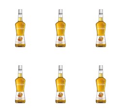image-editor%2Fmultipack%2F1777031309284-r898-c1-x6.png