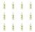 image-editor%2Fmultipack%2F1777032633255-r2145-c1-x12.png