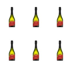 image-editor%2Fmultipack%2F1777032679716-r2203-c1-x6.png
