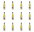image-editor%2Fmultipack%2F1777032694775-r2219-c1-x12.png