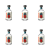 1773275669502-11628-2-x6-75xt3.png