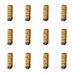 1773273743876-8823-2-x12-l9dcr.png