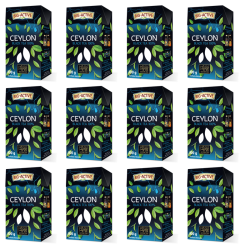 1773267256370-22-2-x12-sucpep.png