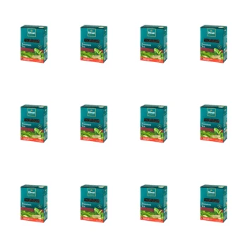 1773267257158-23-2-x12-xyxvle.png