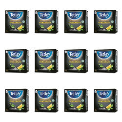 1773267277603-45-2-x12-omxgfp.png