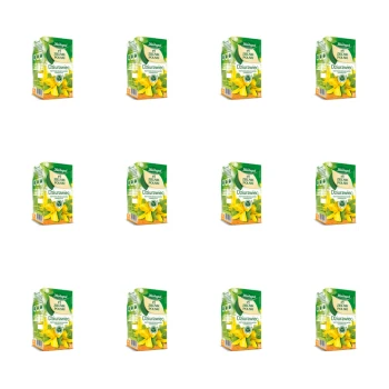 1773267298349-76-2-x12-othkw.png