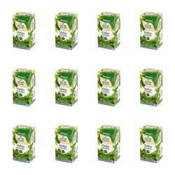 1773267301332-79-2-x12-r4x0s8.png