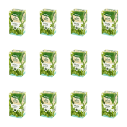1773267302137-80-2-x12-efgqea.png