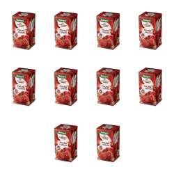 1773267653678-563-2-x10-axeo0d.png