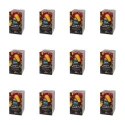 1773269074494-2535-2-x12-i3mcsv.png