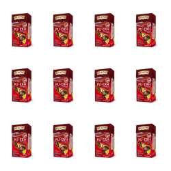 1773269110965-2582-2-x12-wtfxgz.png