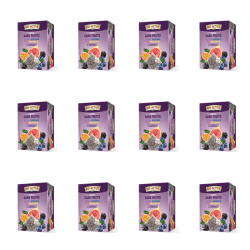 1773269283555-2792-2-x12-xon8bk.png