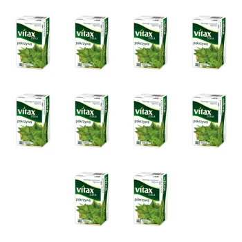 1773269294658-2808-2-x10-jd1pij.png
