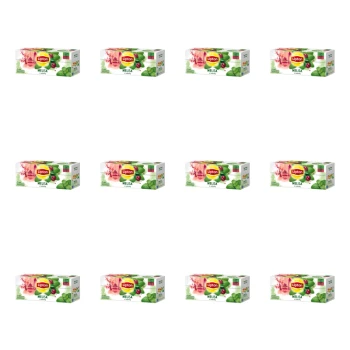 1773269303215-2819-2-x12-66h58b.png