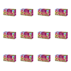 1773269304424-2821-2-x12-r13oy.png