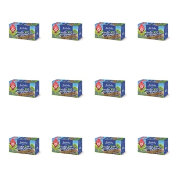 1773269305701-2823-2-x12-nptxor.png