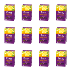 1773269737315-3416-2-x12-tchgi.png
