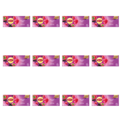 1773269749163-3429-2-x12-ptrtcd.png