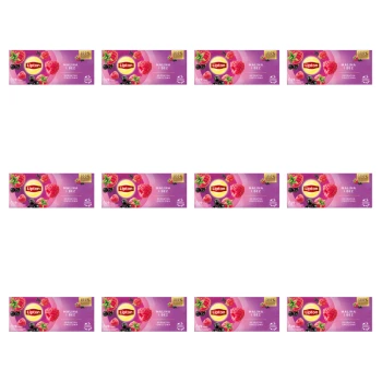 1773269749163-3429-2-x12-ptrtcd.png