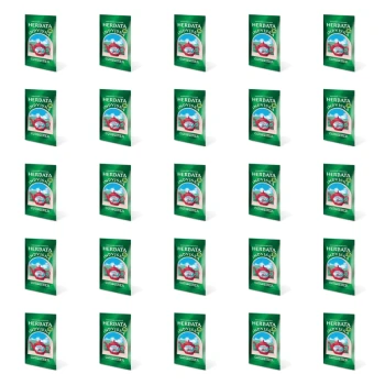 1773269756068-3438-2-x25-j1fmjd.png
