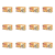 1773270047199-3795-2-x12-2x8x7e.png