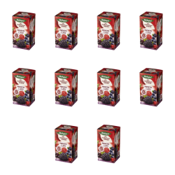 1773270176611-3948-2-x10-3ywo5g.png