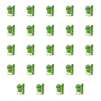 1773271201196-5361-2-x24-ye4t8j.png