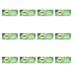 1773271823141-6135-2-x12-vsm7yg.png