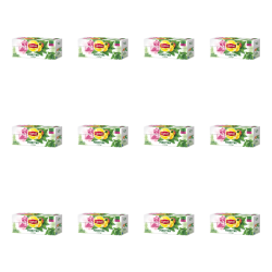 1773272042063-6415-2-x12-flbclm.png