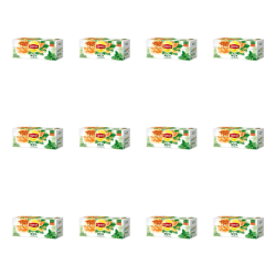 1773272063791-6444-2-x12-9ep5z4.png