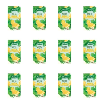 1773272069458-6452-2-x12-ky3h0r.png