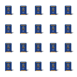 1773272369497-6831-2-x20-334pv9.png
