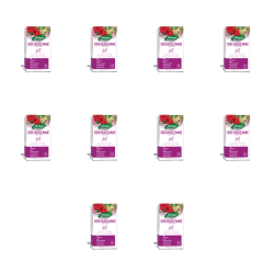 1773272373456-6838-2-x10-h9f28.png