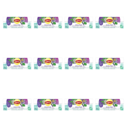 1773274427772-9811-2-x12-7bmiiu.png