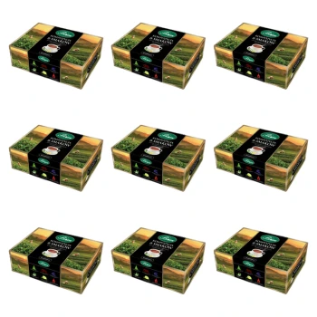 1773275247240-11015-2-x9-eg2lk.png