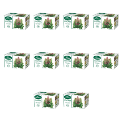 1773275446341-11323-2-x10-z5js1j.png