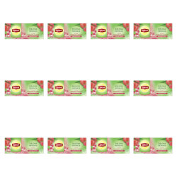 1773275732397-11716-2-x12-40xxfr.png
